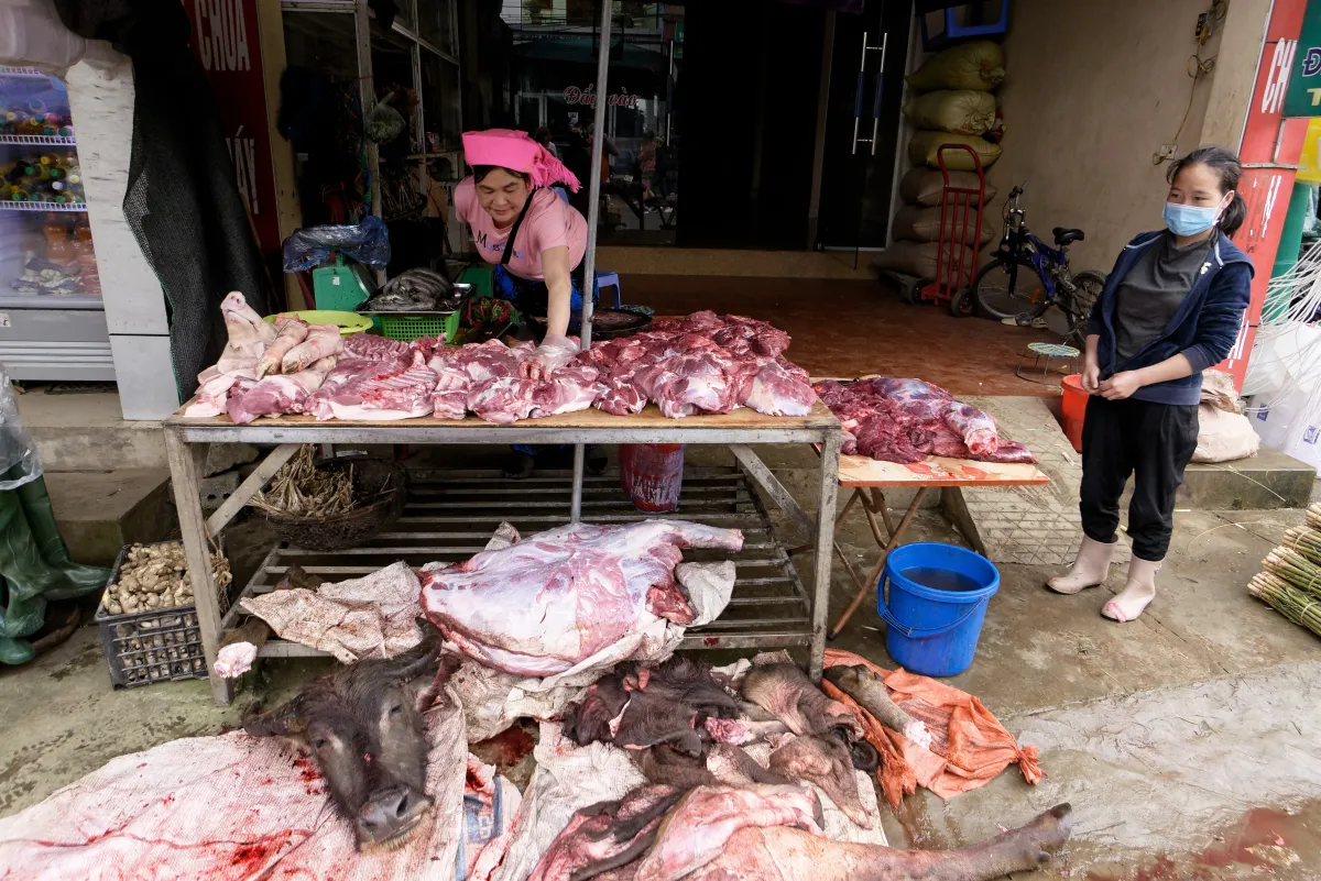 Paysage, scène de vie ou rencontre photographiée au Vietnam — photographie d’Yvon JACQUES