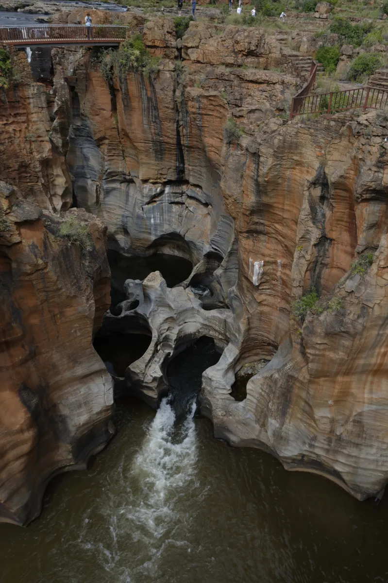 Faune, paysage ou rencontre en Afrique du Sud — photographie d’Yvon JACQUES
