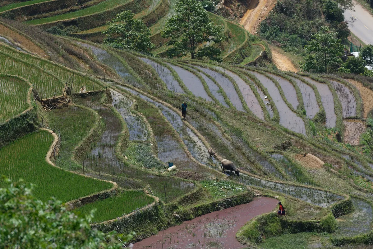 Paysage, scène de vie ou rencontre photographiée au Vietnam — photographie d’Yvon JACQUES