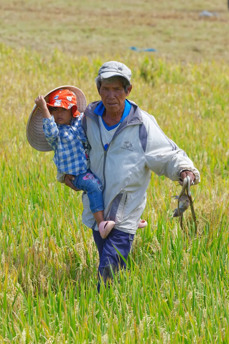 Paysage, scène de vie ou rencontre photographiée au Vietnam — photographie d’Yvon JACQUES