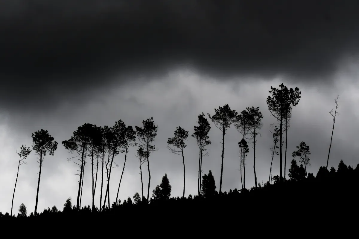 Photographie en noir et blanc jouant avec les ombres et la lumière — photographie d’Yvon JACQUES