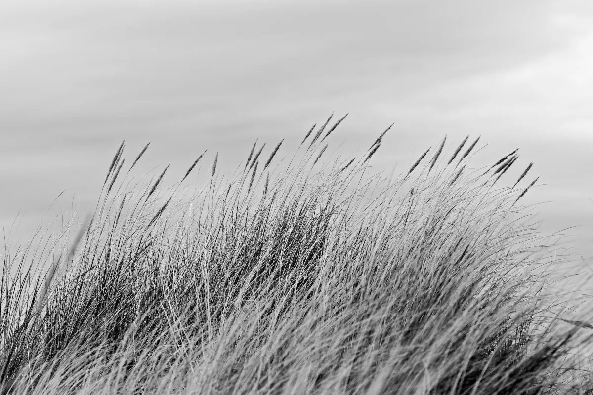 Photographie en noir et blanc jouant avec les ombres et la lumière — photographie d’Yvon JACQUES