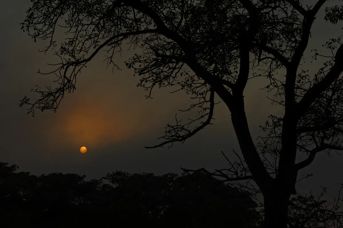 Faune, paysage ou rencontre en Afrique du Sud — photographie d’Yvon JACQUES