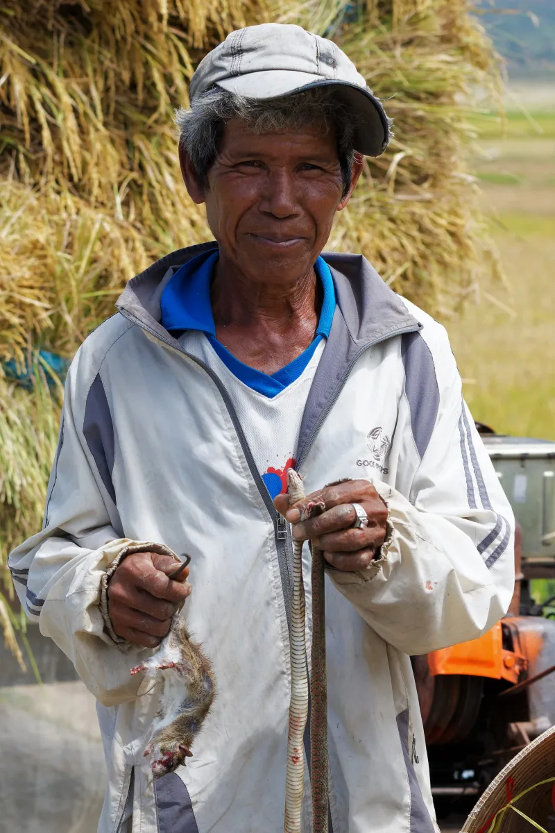 Paysage, scène de vie ou rencontre photographiée au Vietnam — photographie d’Yvon JACQUES