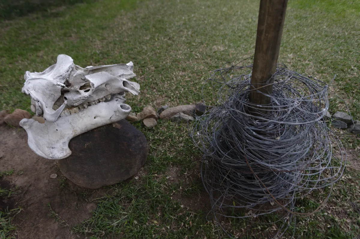 Faune, paysage ou rencontre en Afrique du Sud — photographie d’Yvon JACQUES