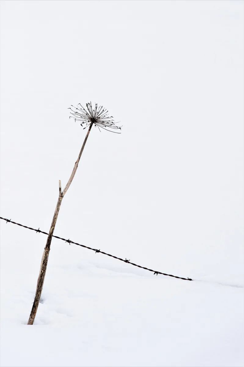 Photographie en noir et blanc jouant avec les ombres et la lumière — photographie d’Yvon JACQUES