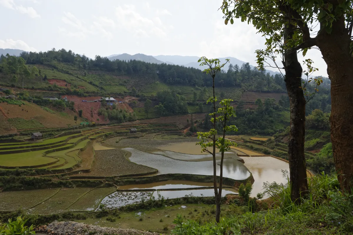 Paysage, scène de vie ou rencontre photographiée au Vietnam — photographie d’Yvon JACQUES
