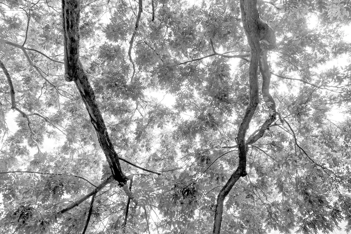 Photographie en noir et blanc jouant avec les ombres et la lumière — photographie d’Yvon JACQUES