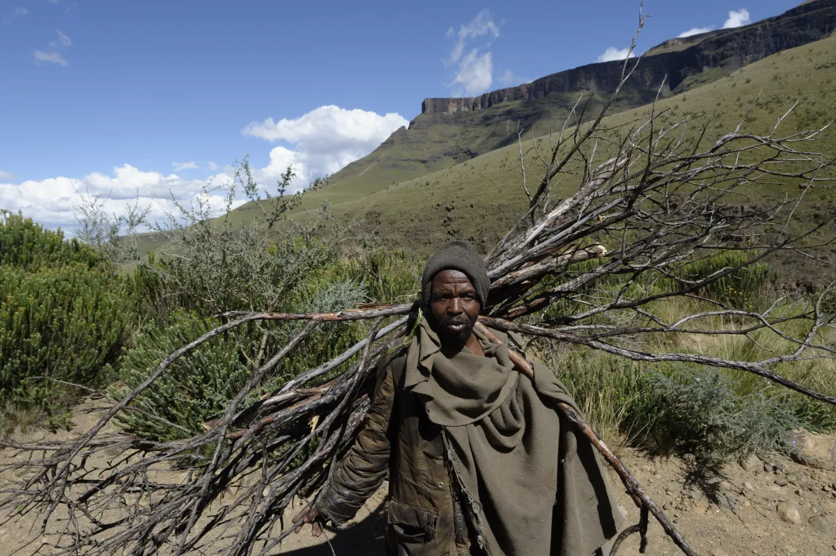 Faune, paysage ou rencontre en Afrique du Sud — photographie d’Yvon JACQUES