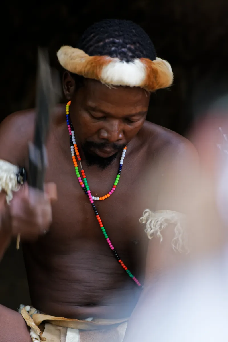 Faune, paysage ou rencontre en Afrique du Sud — photographie d’Yvon JACQUES