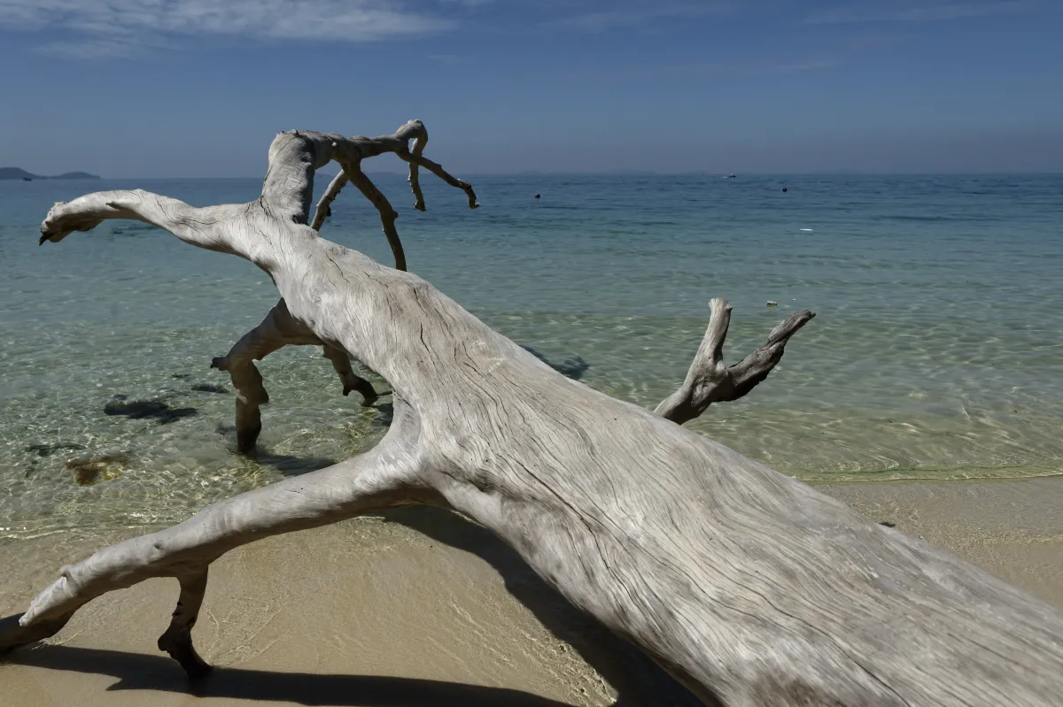 Paysage, scène de vie ou rencontre photographiée au Vietnam — photographie d’Yvon JACQUES