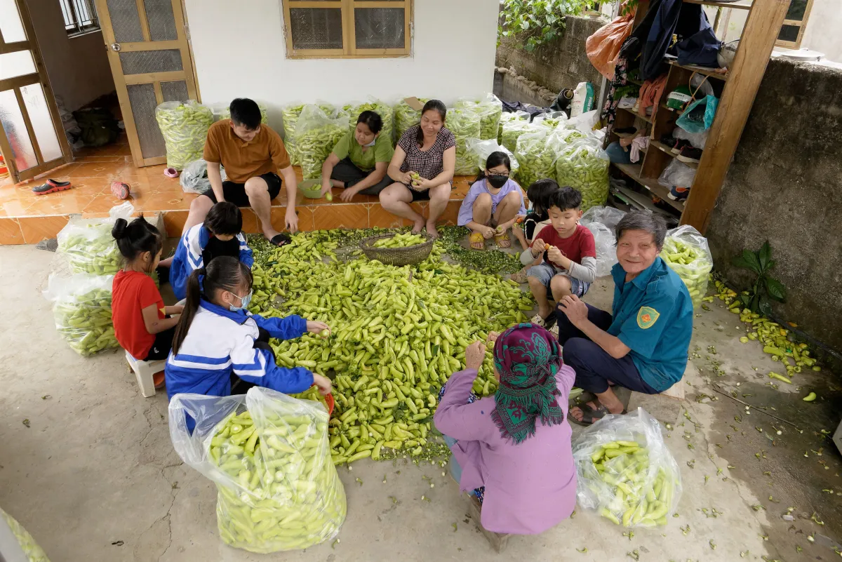 Paysage, scène de vie ou rencontre photographiée au Vietnam — photographie d’Yvon JACQUES