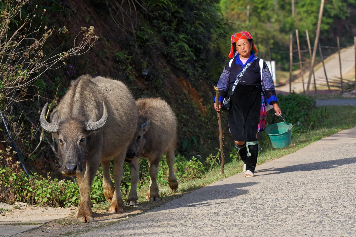 Paysage, scène de vie ou rencontre photographiée au Vietnam — photographie d’Yvon JACQUES