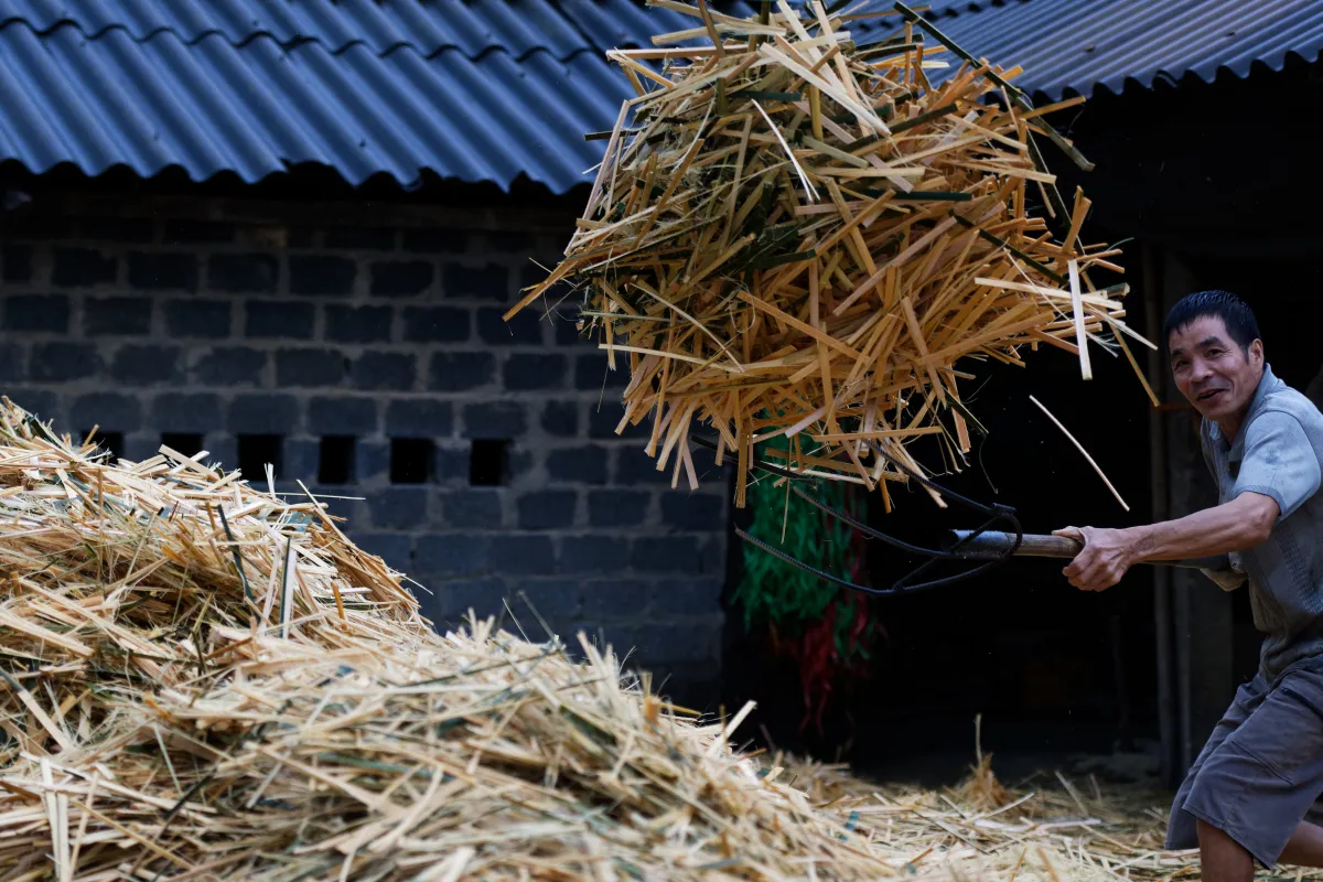 Paysage, scène de vie ou rencontre photographiée au Vietnam — photographie d’Yvon JACQUES