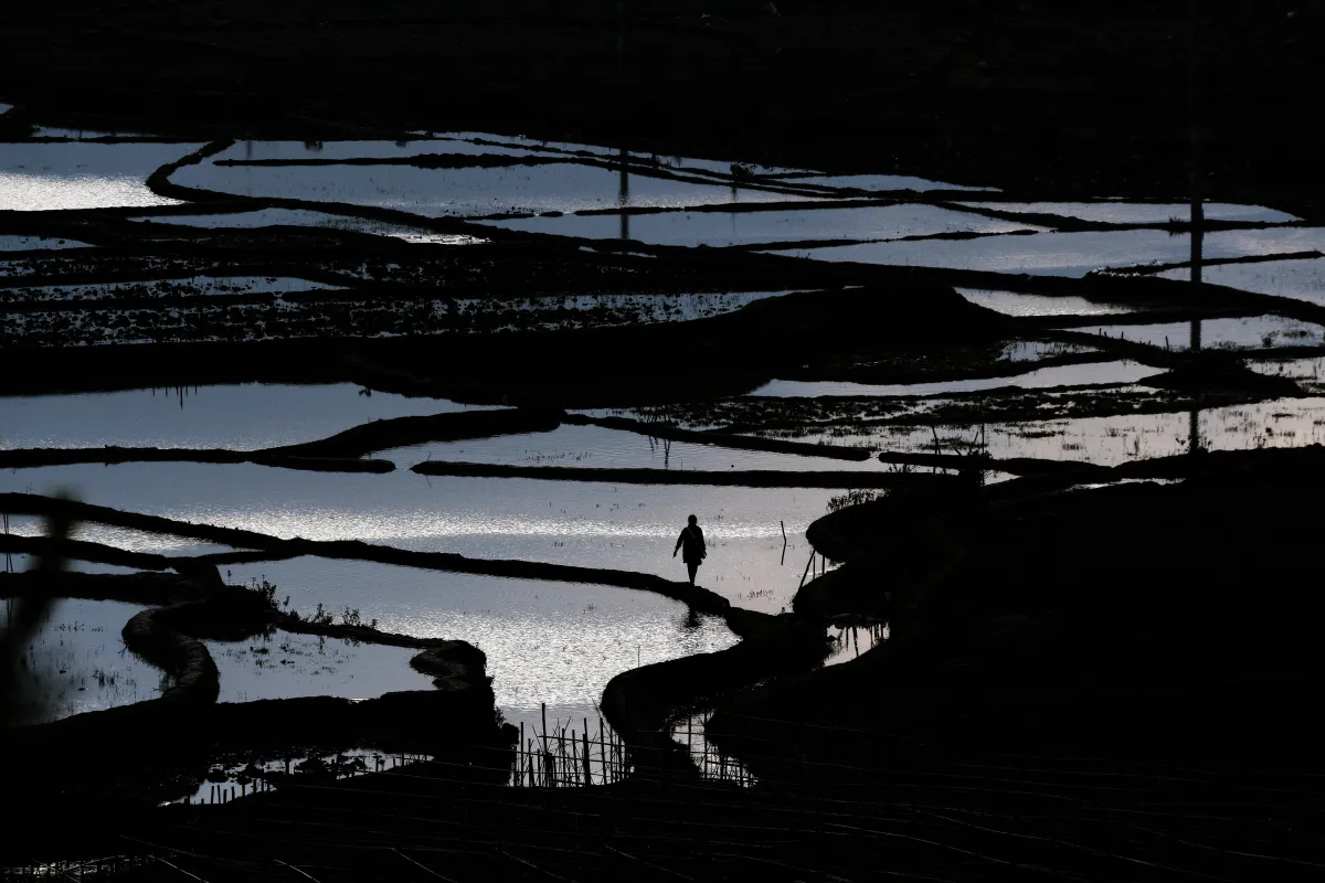 Paysage, scène de vie ou rencontre photographiée au Vietnam — photographie d’Yvon JACQUES